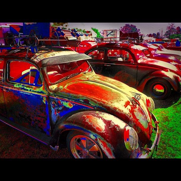 Winter Photograph - Vw Bugs @ Greazefest by Avril O