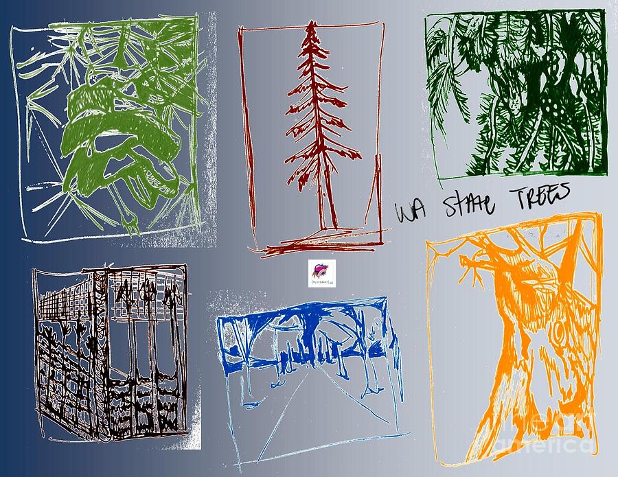 WA State Trees of the NW Drawing by Carol Rashawnna Williams
