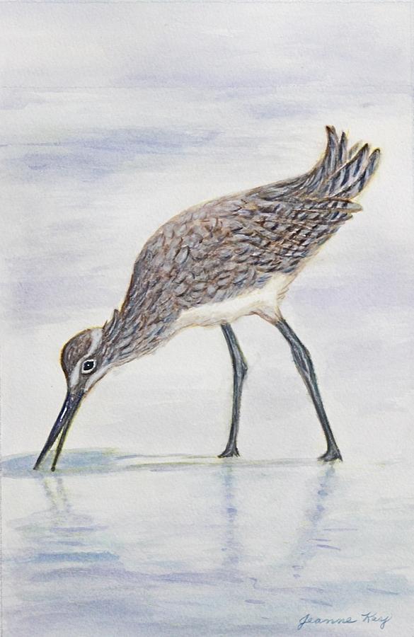 Wading Willet Painting by Jeanne Juhos