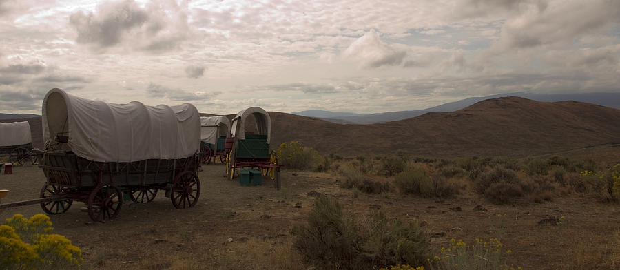 Wagon Train Photograph by Mary Capriole