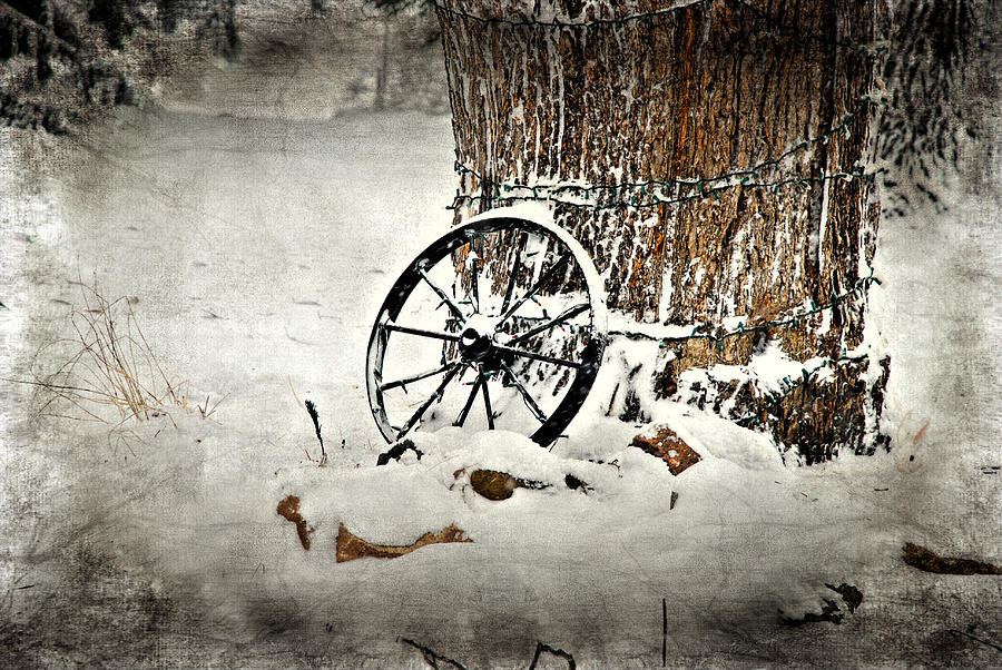 Winter Photograph - Wagon Wheel 1 by Janice Adomeit
