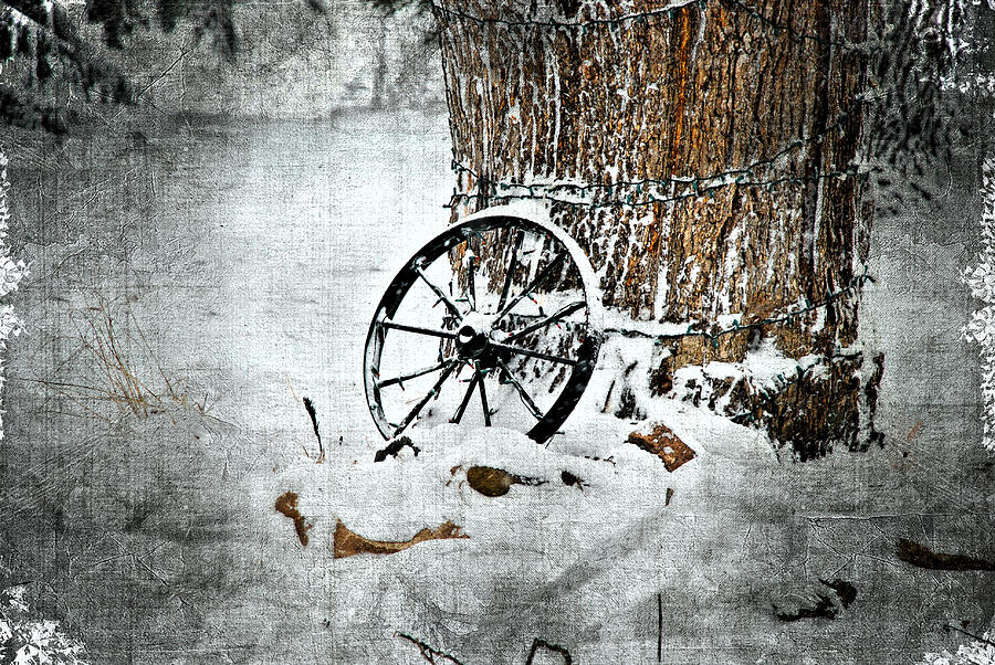 Wagon Wheel 2 Photograph by Janice Adomeit