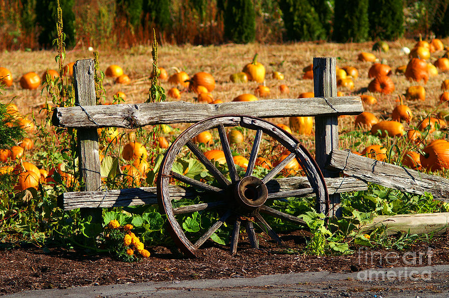 Wagon Wheel in the Pumpkin Patch Photograph by Randy Harris