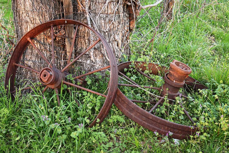 Wagon Wheels Photograph by DEM Photos - Fine Art America