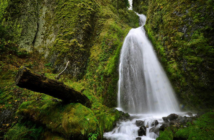 Nature Photograph - Wahkeena Falls 02 by Matt Hanson