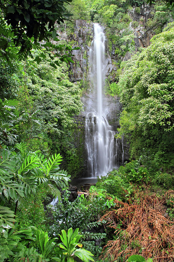 Wailua falls #1 Photograph by Pierre Leclerc Photography