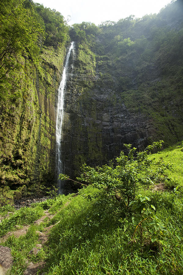Waimoku Falls and Lush Greenery Photograph by Jenna Szerlag