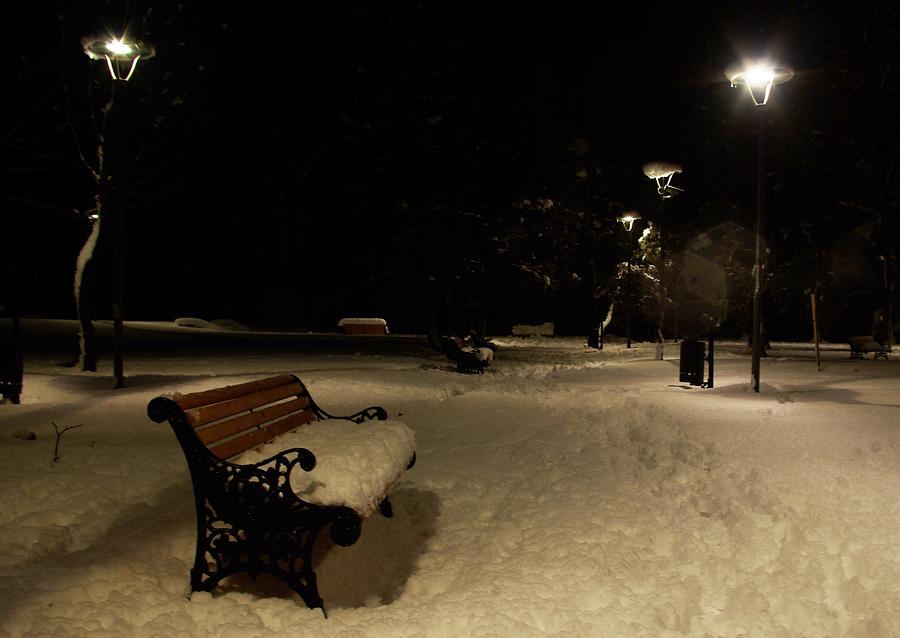 Winter Photograph - Waiting by Amalia Suruceanu