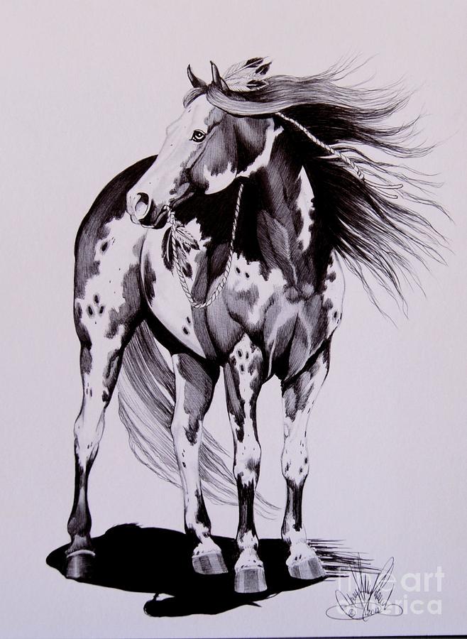 Horse Drawing - Waiting on the Human by Cheryl Poland
