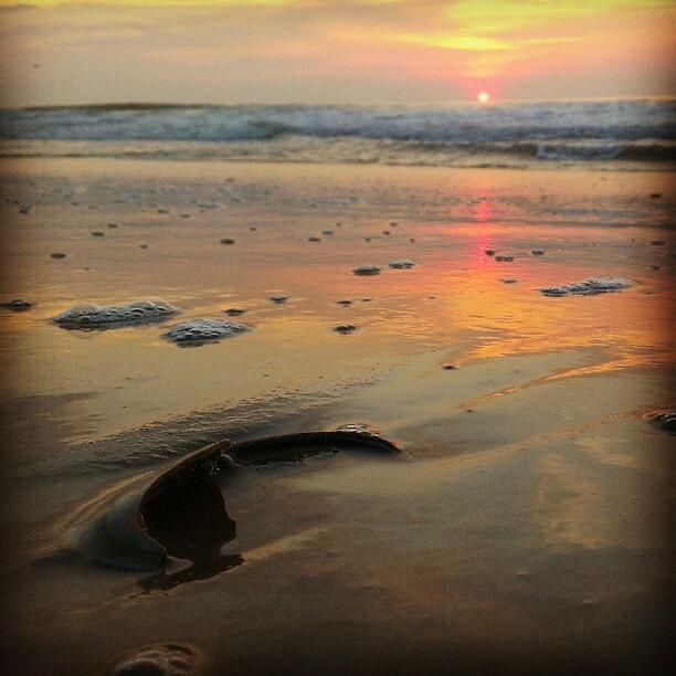 Beach Photograph - Waiting On The Sun. #sunrise #sea by Brian Harris