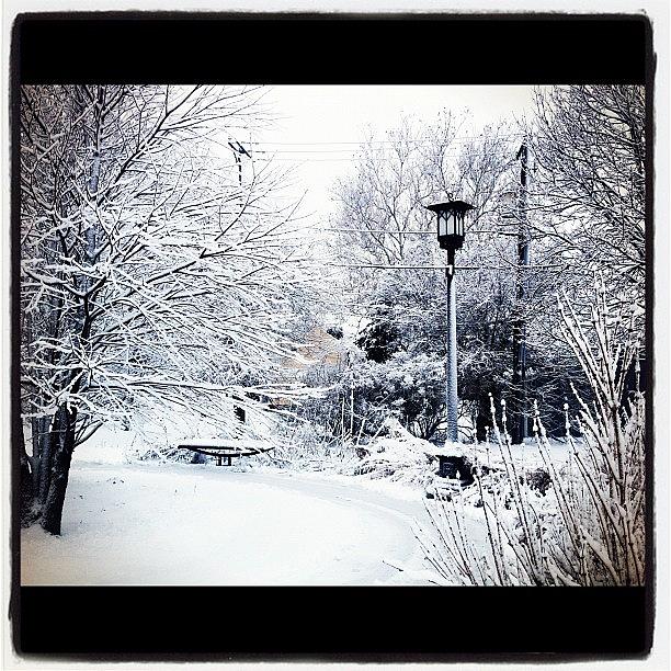 Winter Photograph - Walk To Work #lisle #iphoneography by Kristine Tague
