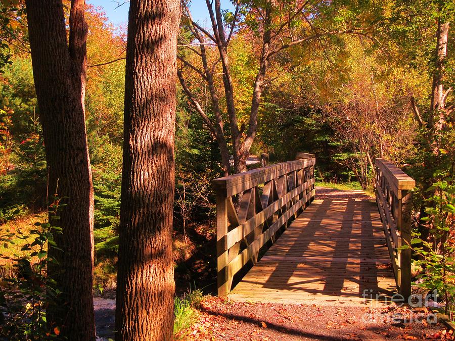 Fall Photograph - Walking Bridge in the Fall by John Malone