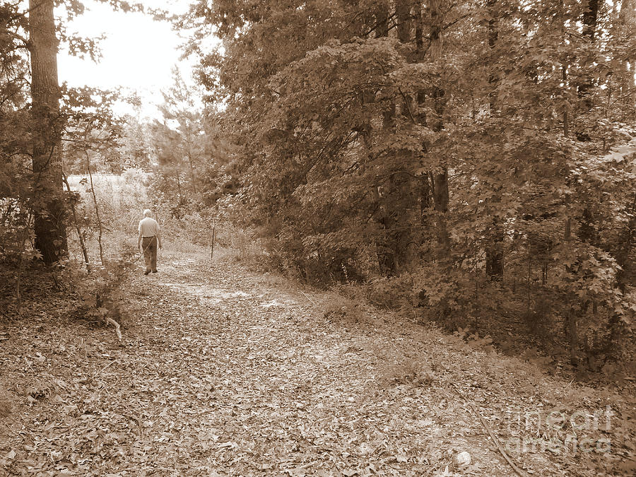 Walking Down the Path Photograph by Renee Trenholm