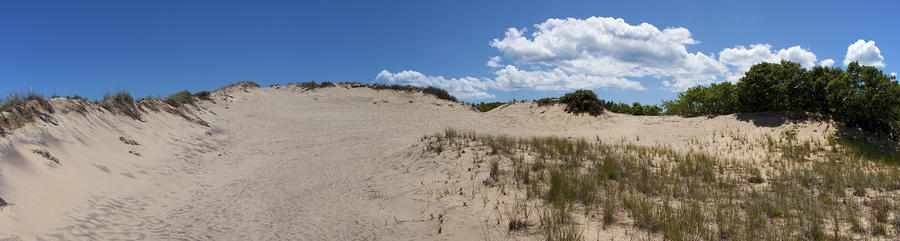 Walking Dunes Panorama Photograph
