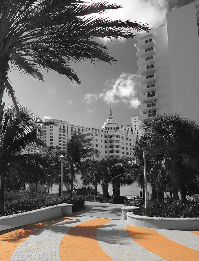 Walking In Miami  Photograph by Raymond Earley