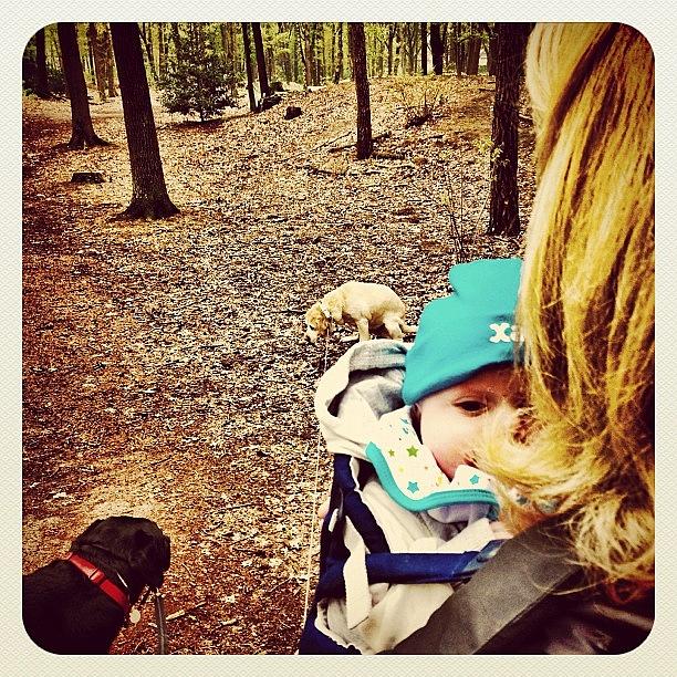 Dog Photograph - Walking The #dogs With Wife And Son Of by Wilbert Claessens