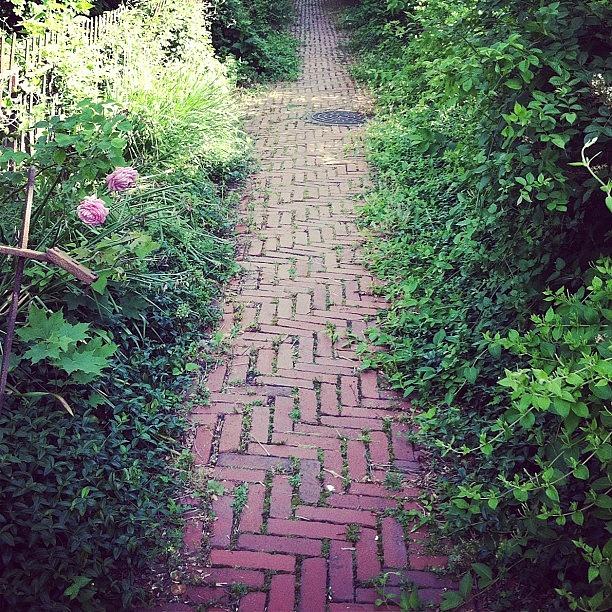 Summer Photograph - #walkway #sidewalk #brick #garden by Jenna Luehrsen