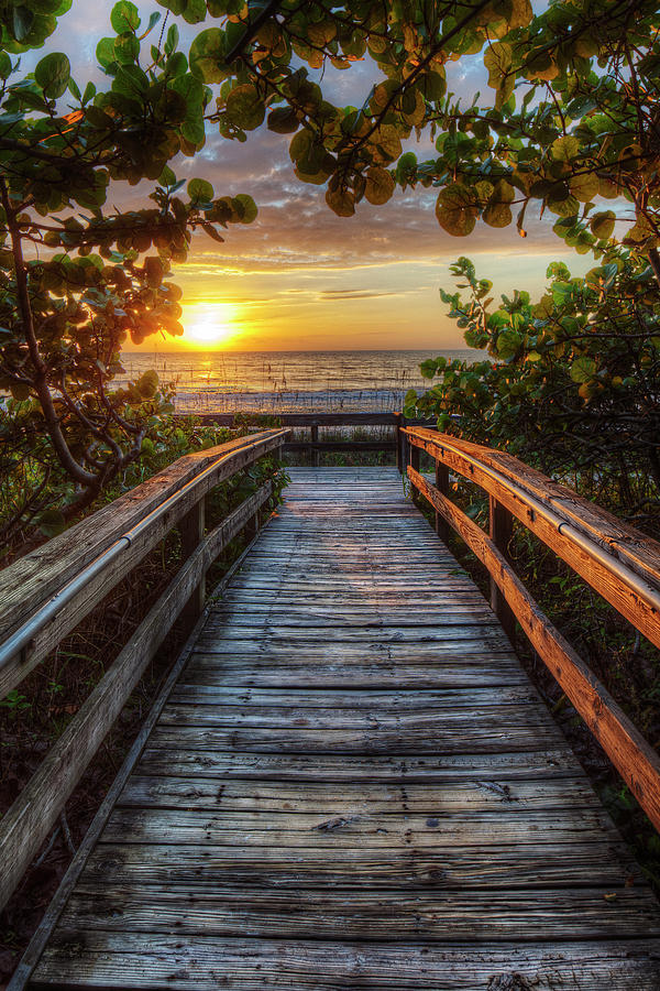 walkway to Paradise Photograph by Nick  Shirghio