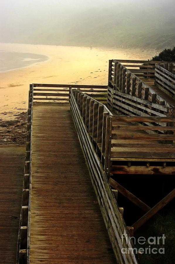 Walkway to the beach Photograph by Blair Stuart
