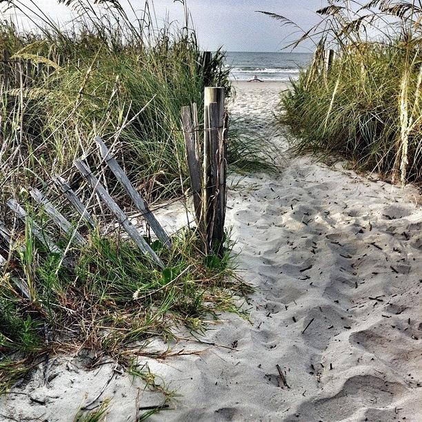 Summer Photograph - Walkway To The Ocean #ocean #summer by Lynne Daley