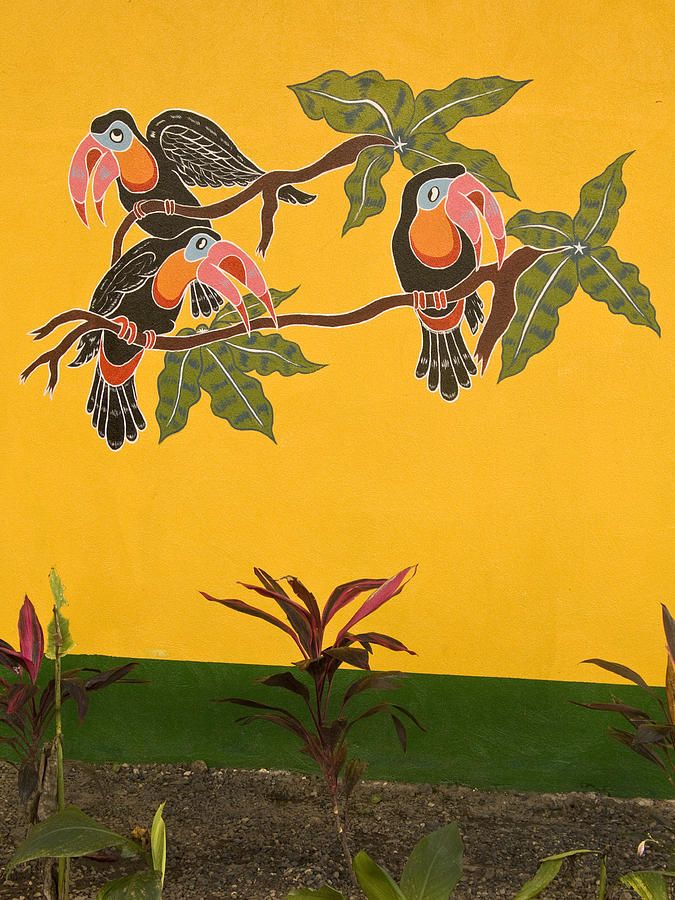 Wall Art  Costa Rica Photograph by Joe  Palermo