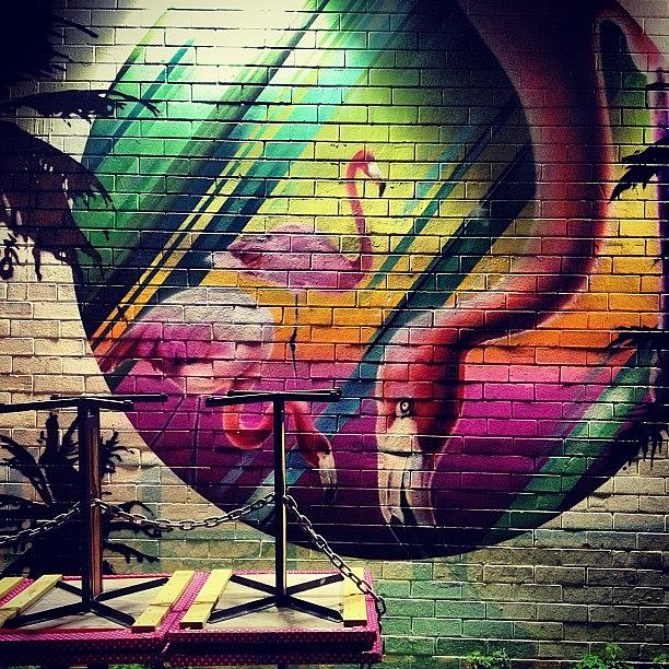 Flamingo Photograph - Wall Flamingos #ig #iphoneisa by Emma Green