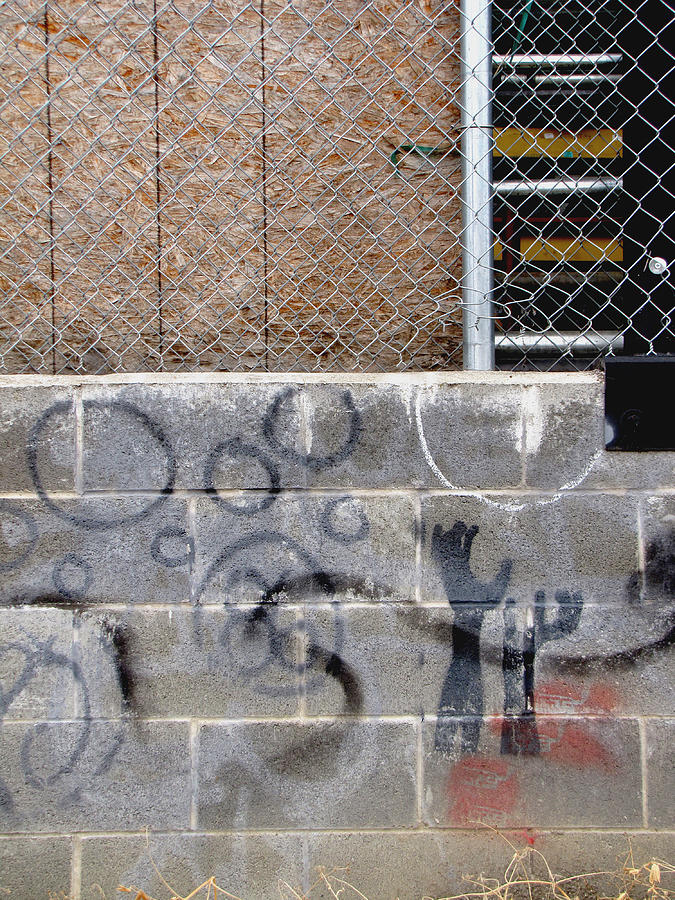 Wall Graffiti - Reach Photograph by Kathleen Grace