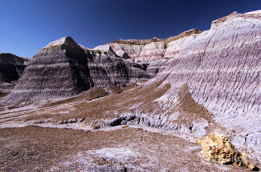Petrified Forest National Park Photograph - Wall Of Purple by Adam Jewell