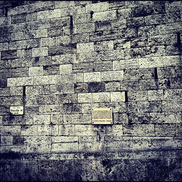 Cute Photograph - #wall #old #budapest by Zain Master