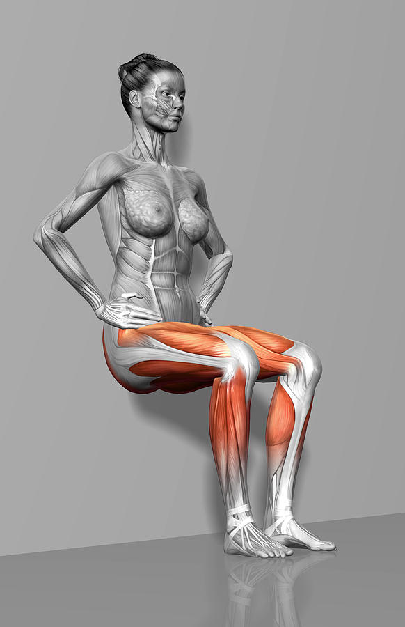 Vertical Photograph - Wall Sit Exercise by MedicalRF.com