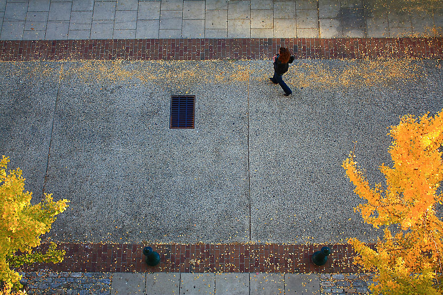 Wall Street Looking Down Photograph by Gray  Artus