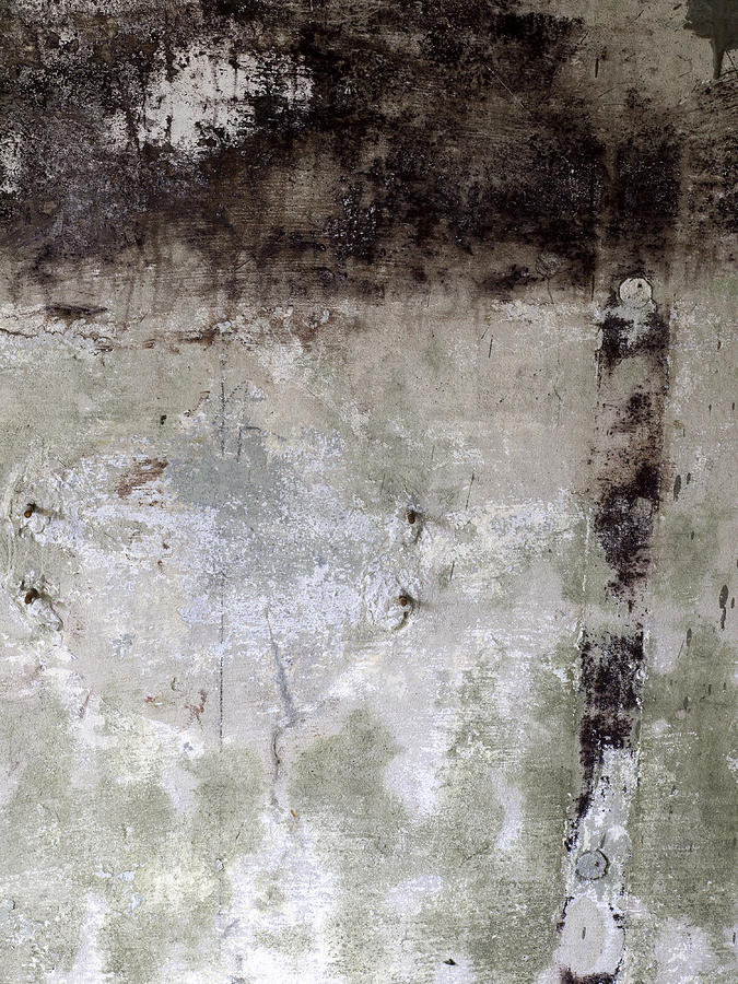 Abstract Photograph - Wall Texture Number 11 by Carol Leigh