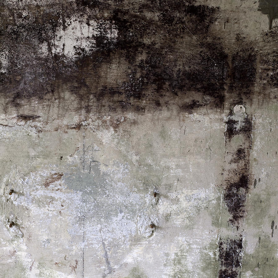 Abstract Photograph - Wall Texture Number 8 by Carol Leigh