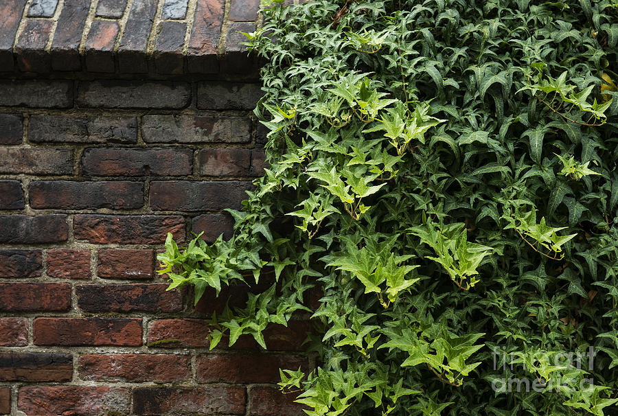 Brick Photograph - Walled Garden by John Greim