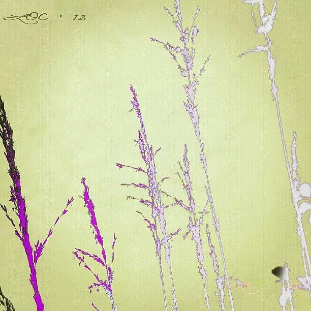 Plant Photograph - Wallpaper Options #soft_tones by Lotte Corvinius