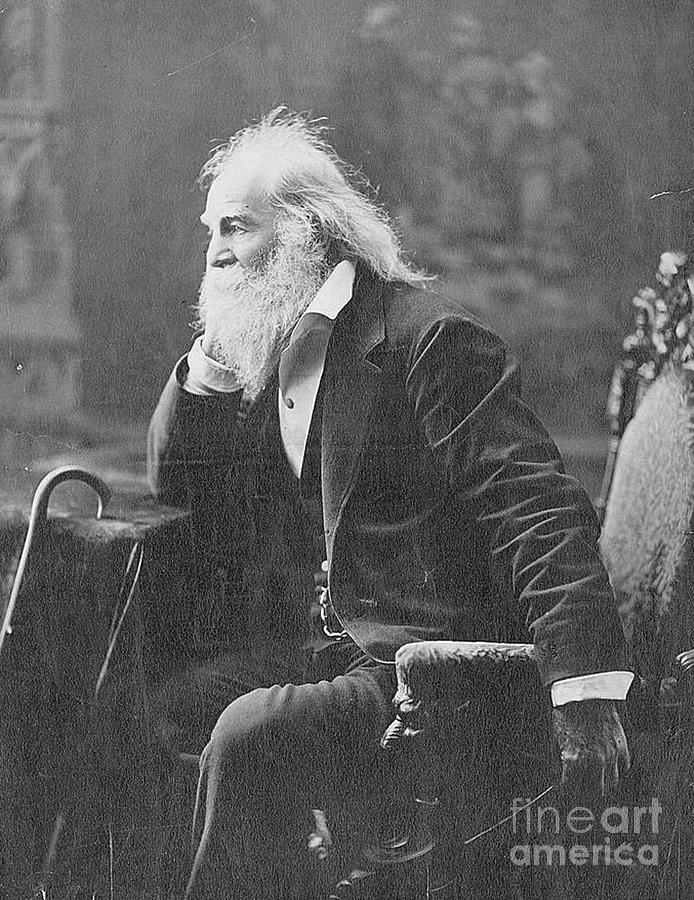 Walt Whitman, American Poet Photograph by Photo Researchers