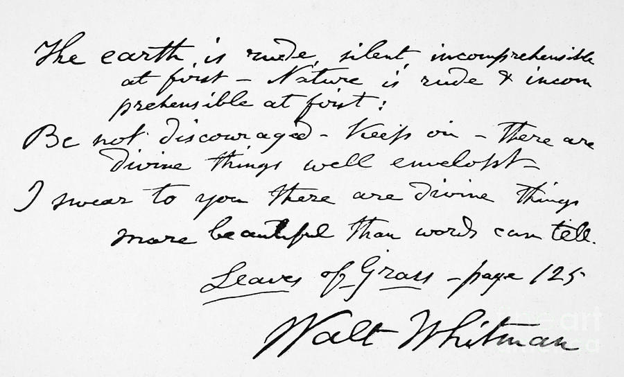 Walt Whitman Manuscript Photograph by Granger