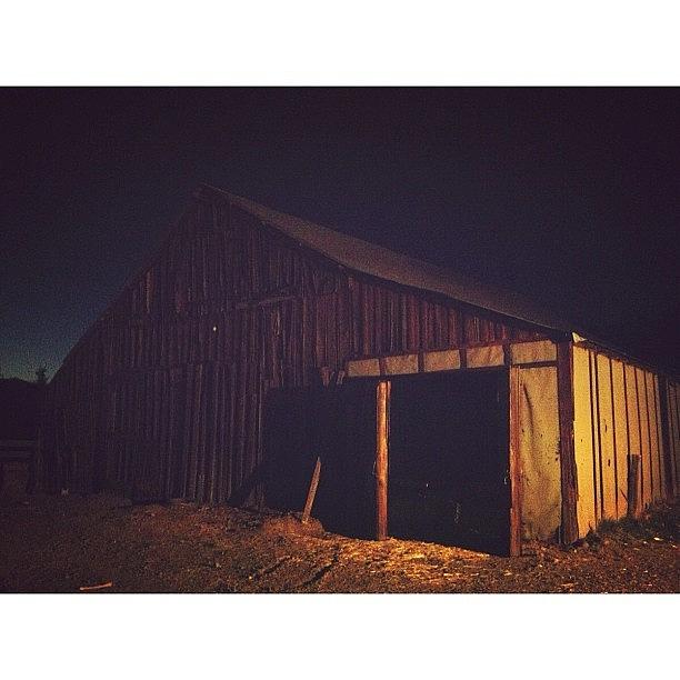 Wanna Go Inside The Barn At The Pumpkin Photograph by Danny Lemaire