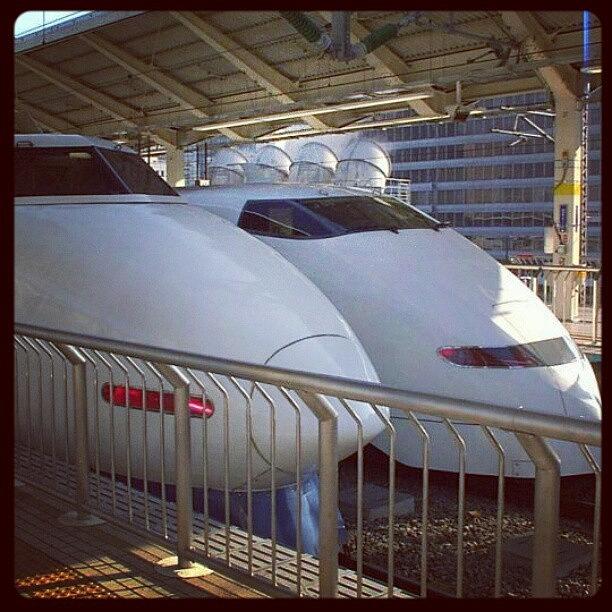 wanna Race? Tokyo Train Station Photograph by Jim Plunkett
