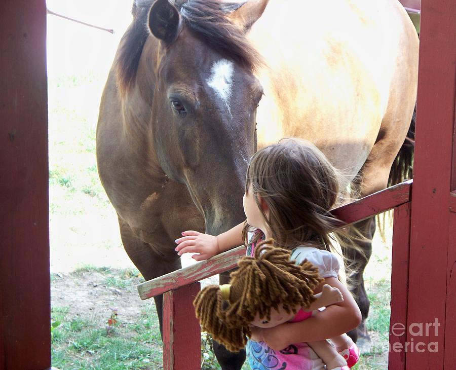 Horse Photograph - Want to Play by Sheri Simmons