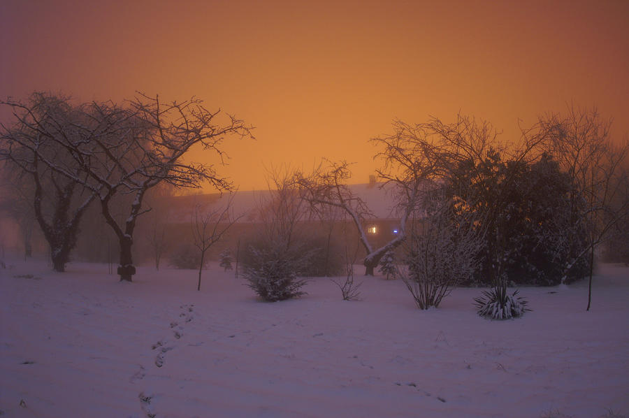 Winter Photograph - Warm and cosy by Erik Tanghe
