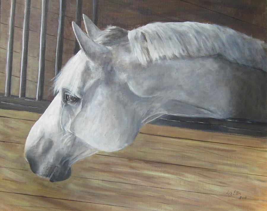 Warm Blood Stallion Painting by Elizabeth Ellis
