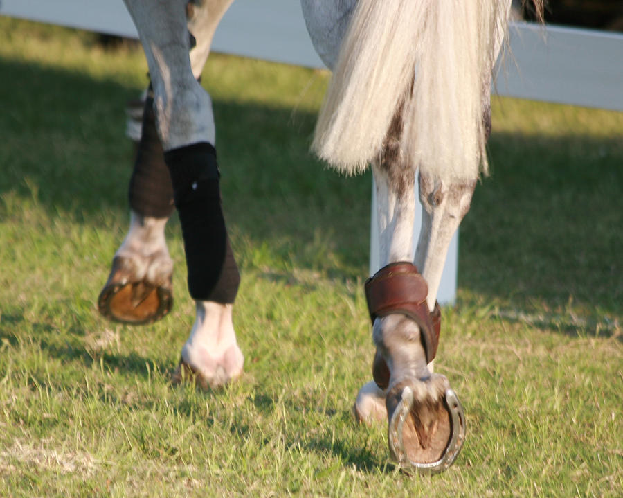 Warm Up Digital Art by Mark Thomas Fine Art America