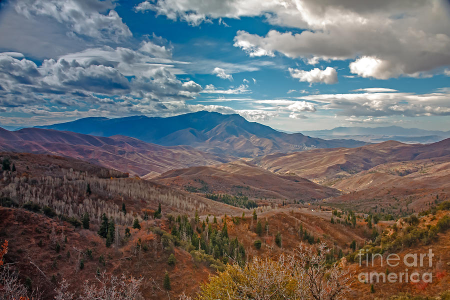 Salt Lake City Photograph - Wasatch Range  by Robert Bales