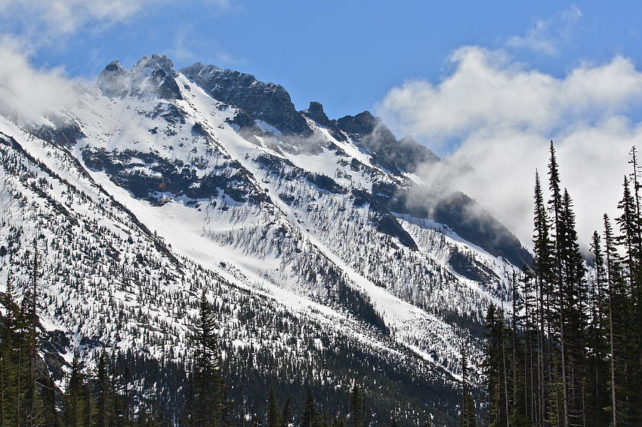 Mountain Photograph - Washington Cascades by Diana Hatcher
