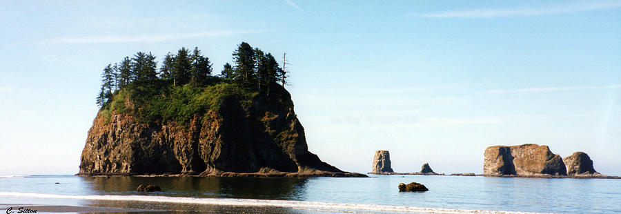 Washington Coast Photograph by C Sitton