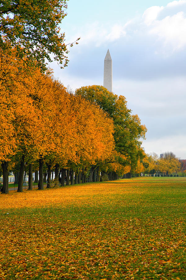 Washington Monument Photograph - Washington In the Fall by Steven Ainsworth