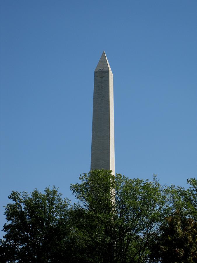 Washington Monument Above the Trees Photograph by Kathy Long