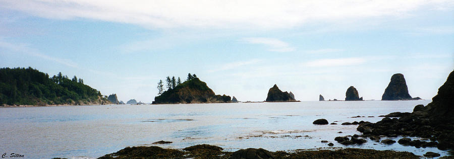Washington Shoreline Photograph by C Sitton
