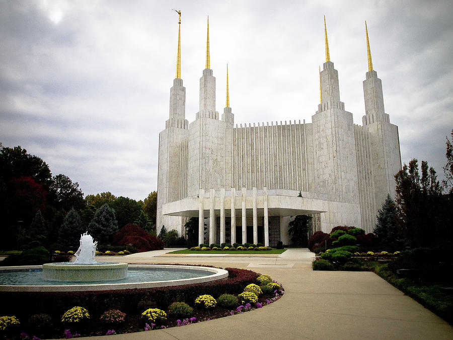 Washington Temple Photograph by Craig Leaper